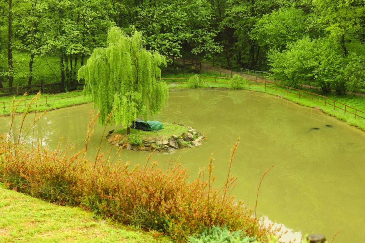 Agriturismo Grammelot Сарніко Екстер'єр фото