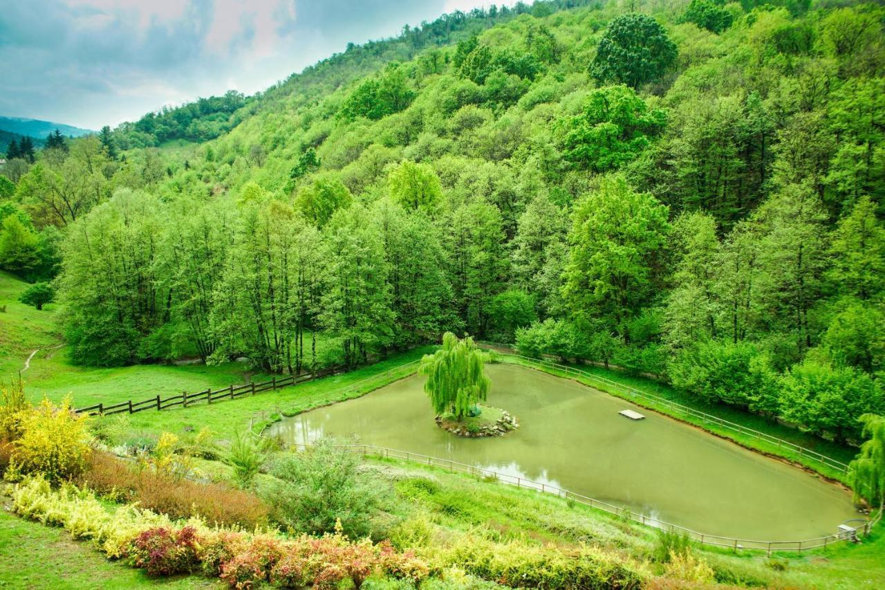 Agriturismo Grammelot Сарніко Екстер'єр фото